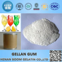 Favorable price hot natural gellan gum powderfor dairy products